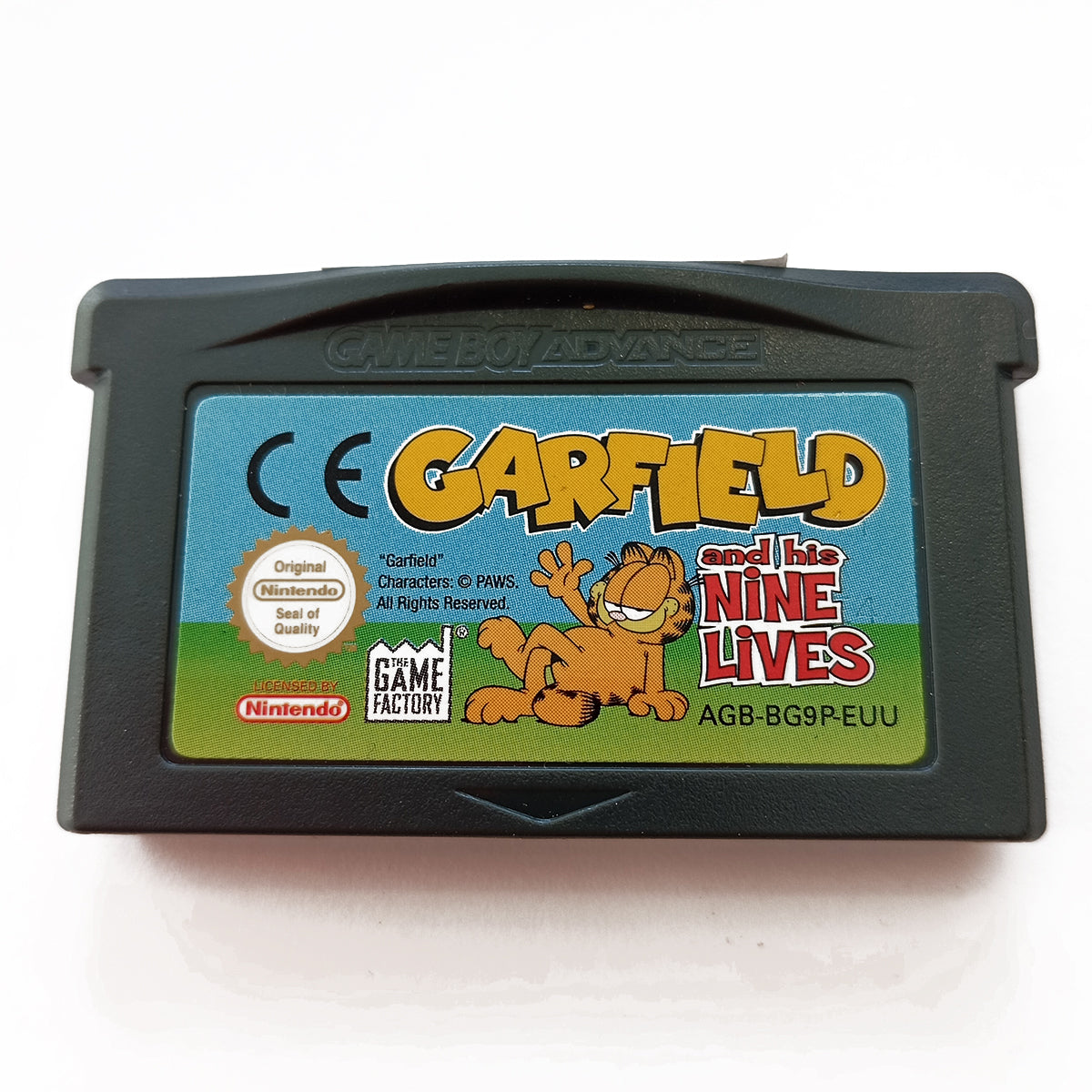 Garfield and his Nine Lives