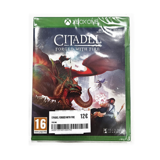 Citadel Forged with Fire