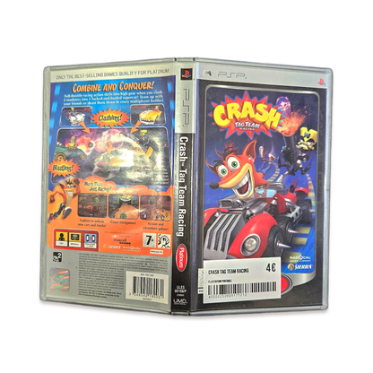 Crash Tag Team Racing