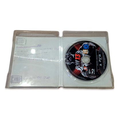 WWE 13