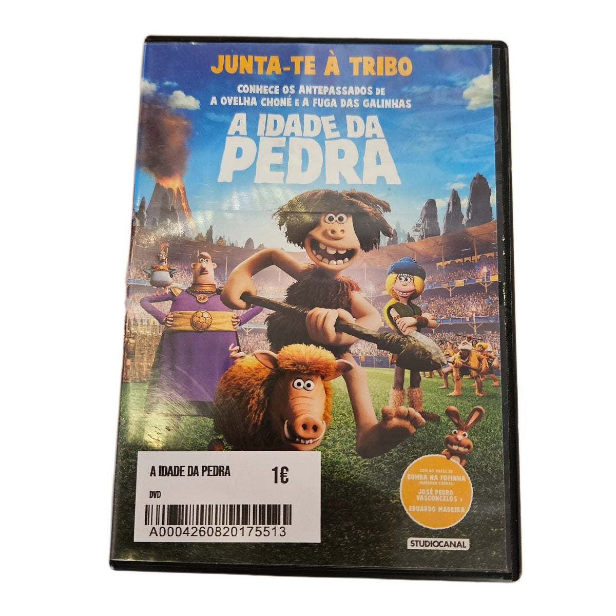 A Idade da Pedra