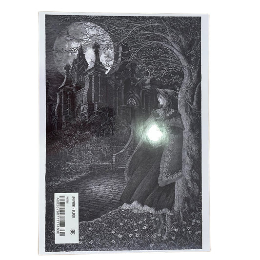 A4 Print - Bloodborne Maiden in Black