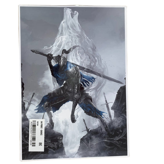 A4 Print - Darksouls Artorias the Abysswalker