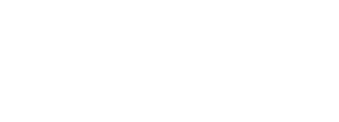 Mr Zombie